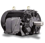 Global Series Medium Voltage TEFC Motor